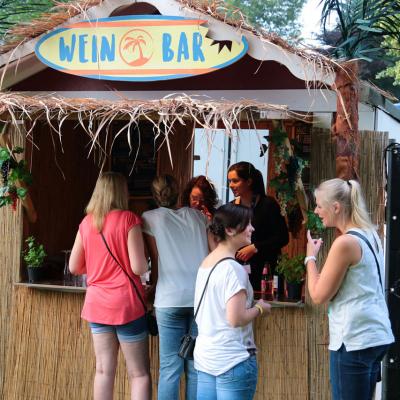 Sunswing Poolparty 2016 0003