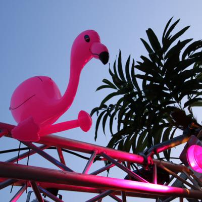 Sunswingpoolparty2014 305