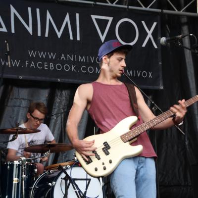 Sunswingpoolparty2014 82